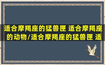 适合摩羯座的猛兽匣 适合摩羯座的动物/适合摩羯座的猛兽匣 适合摩羯座的动物-我的网站